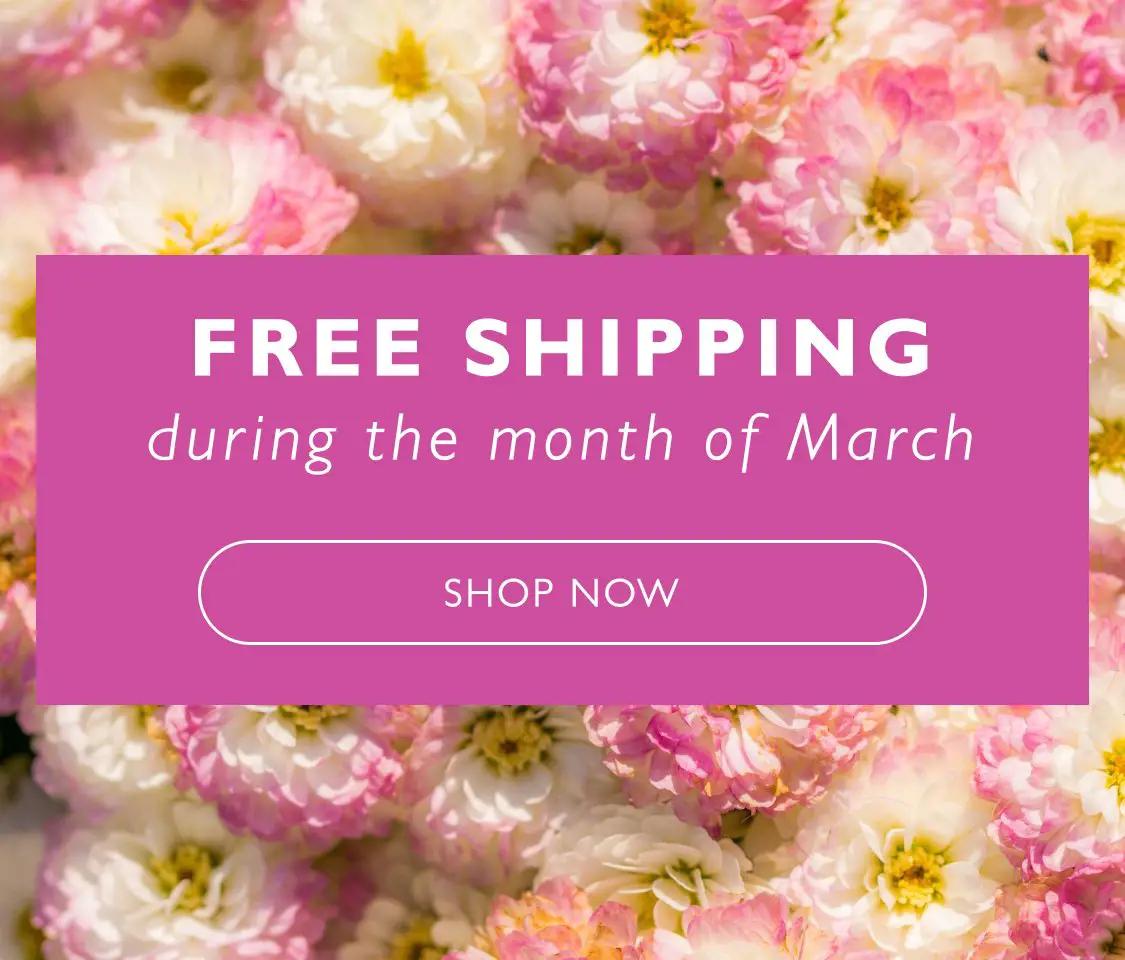 Mobile banner promoting free shipping during the month of march