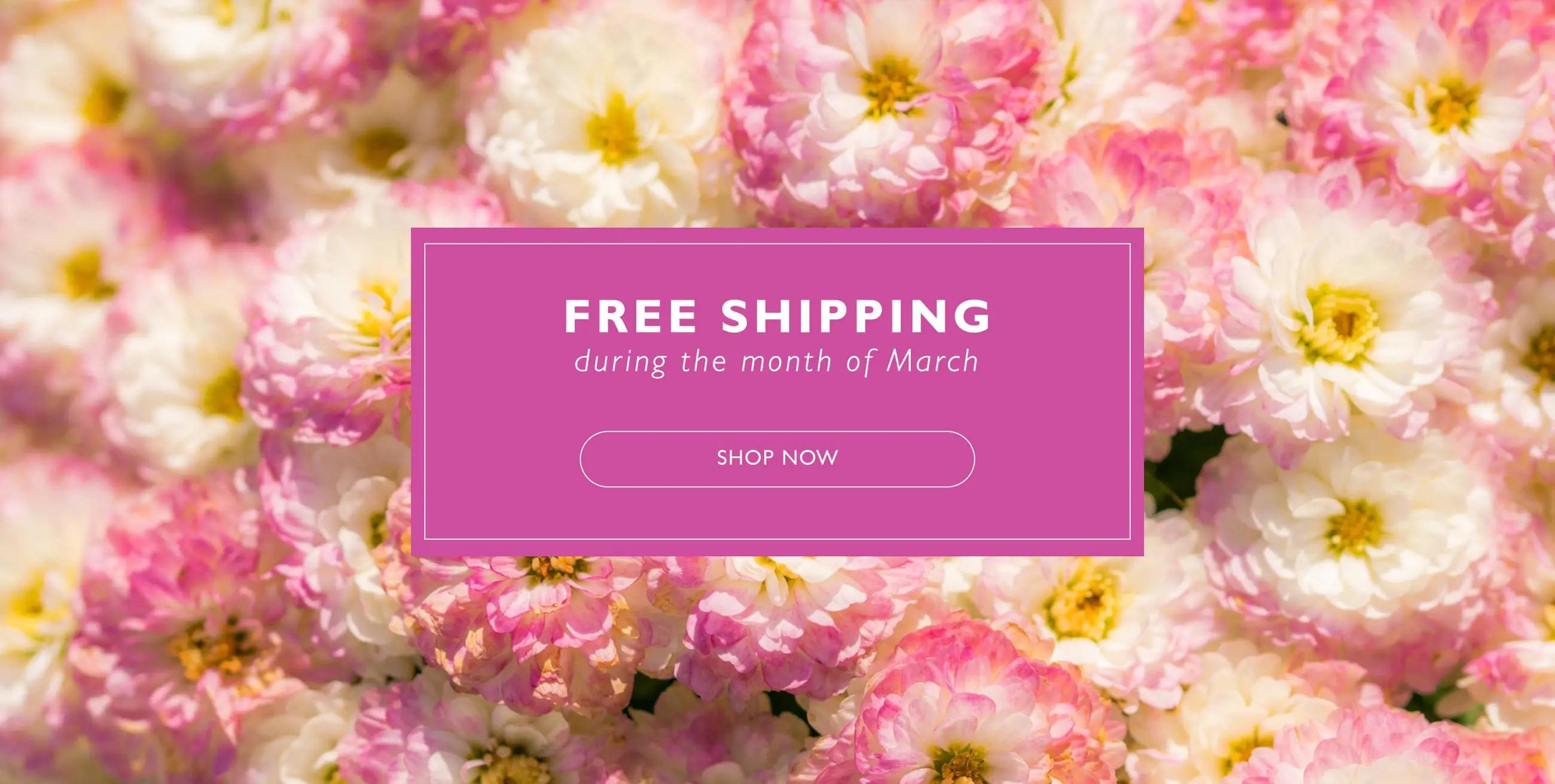 Desktop banner promoting free shipping during the month of march